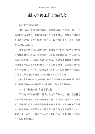 新人年终工作总结范文