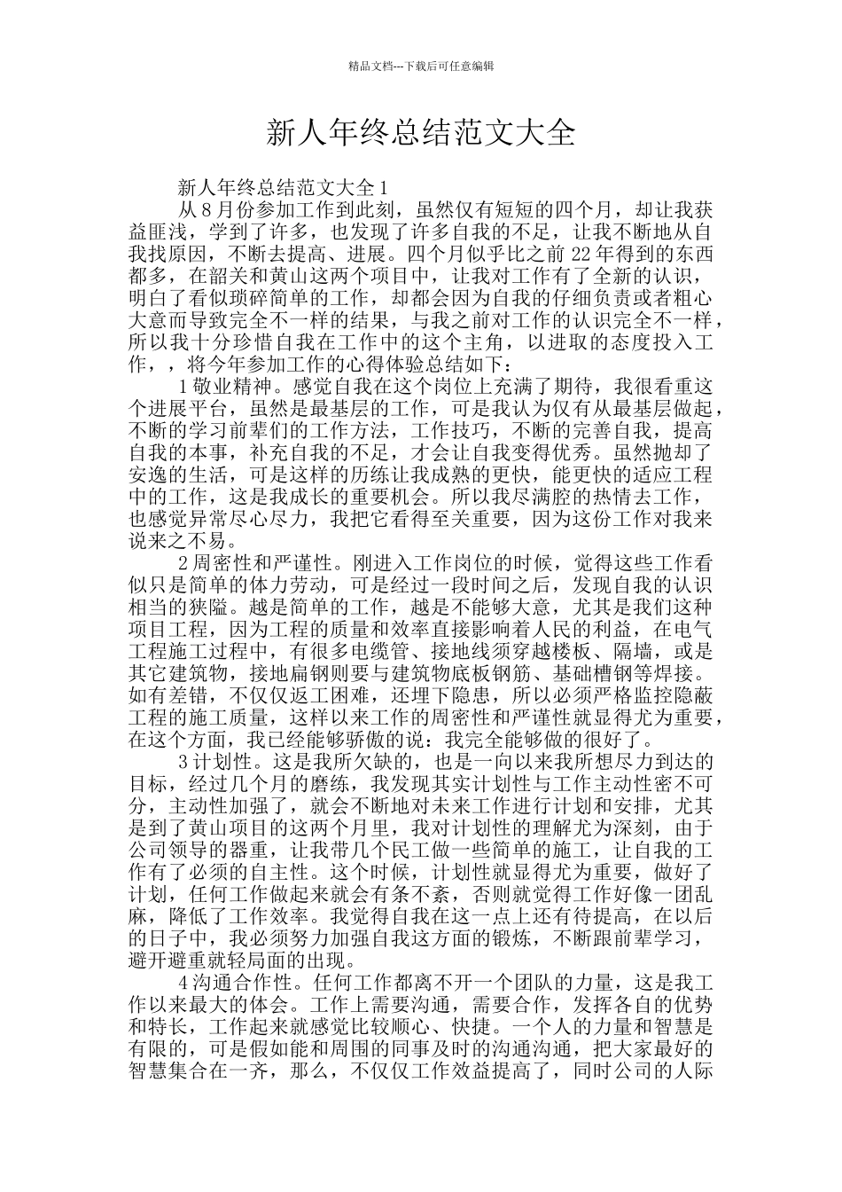 新人年终总结范文大全_第1页