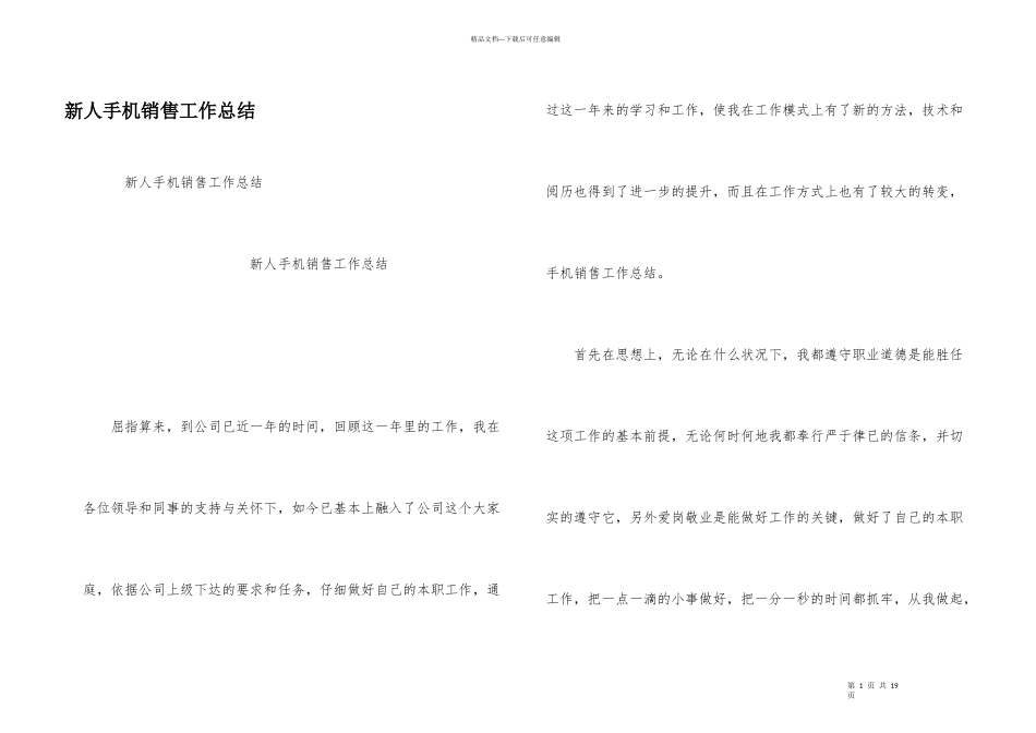 新人手机销售工作总结_第1页