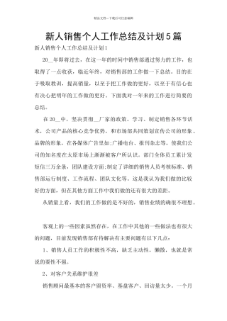 新人销售个人工作总结及计划5篇
