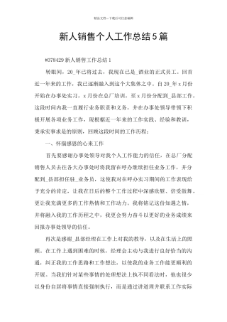 新人销售个人工作总结5篇