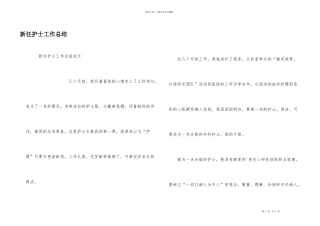 新任护士工作总结