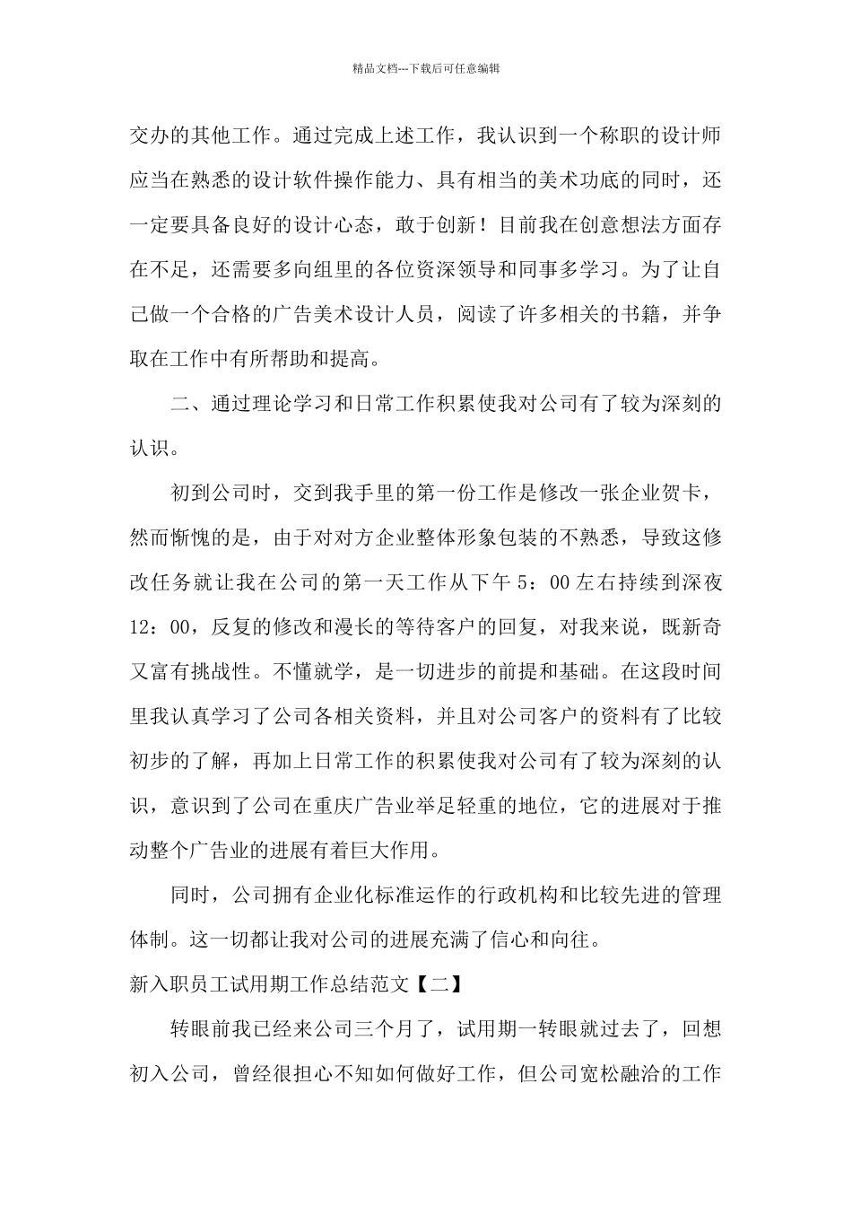 新入职员工试用期工作总结范文_第2页
