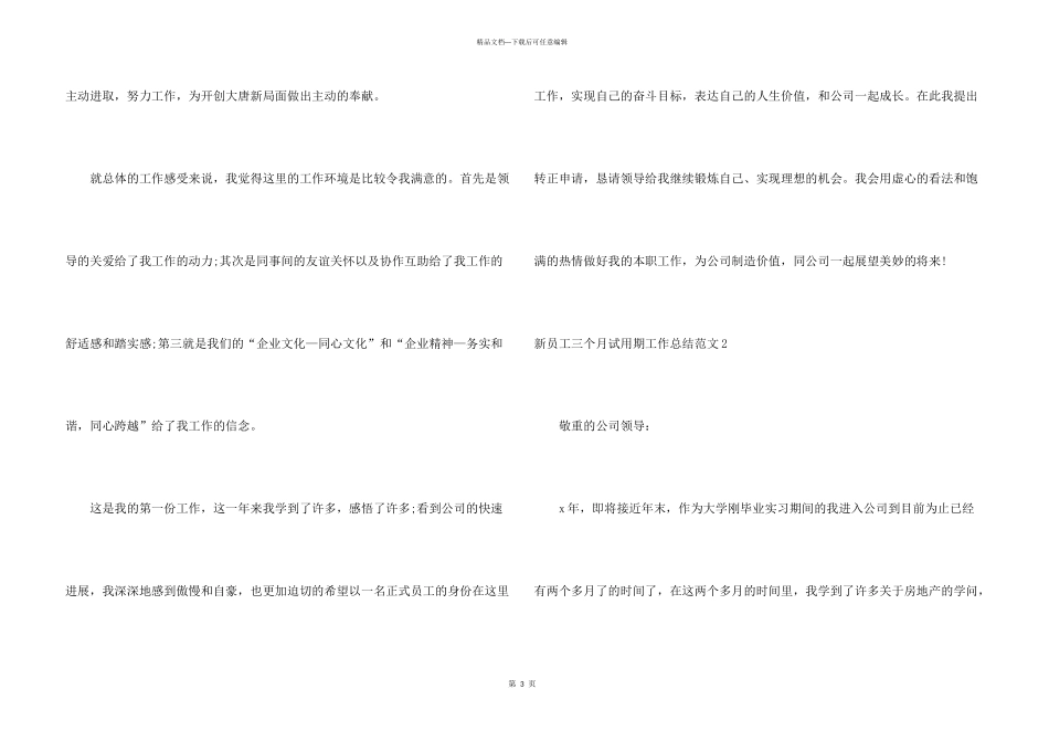 新员工三个月试用期工作总结_第3页