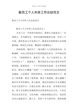 新员工个人年终工作总结范文