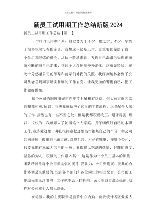 新员工试用期工作总结新版2024