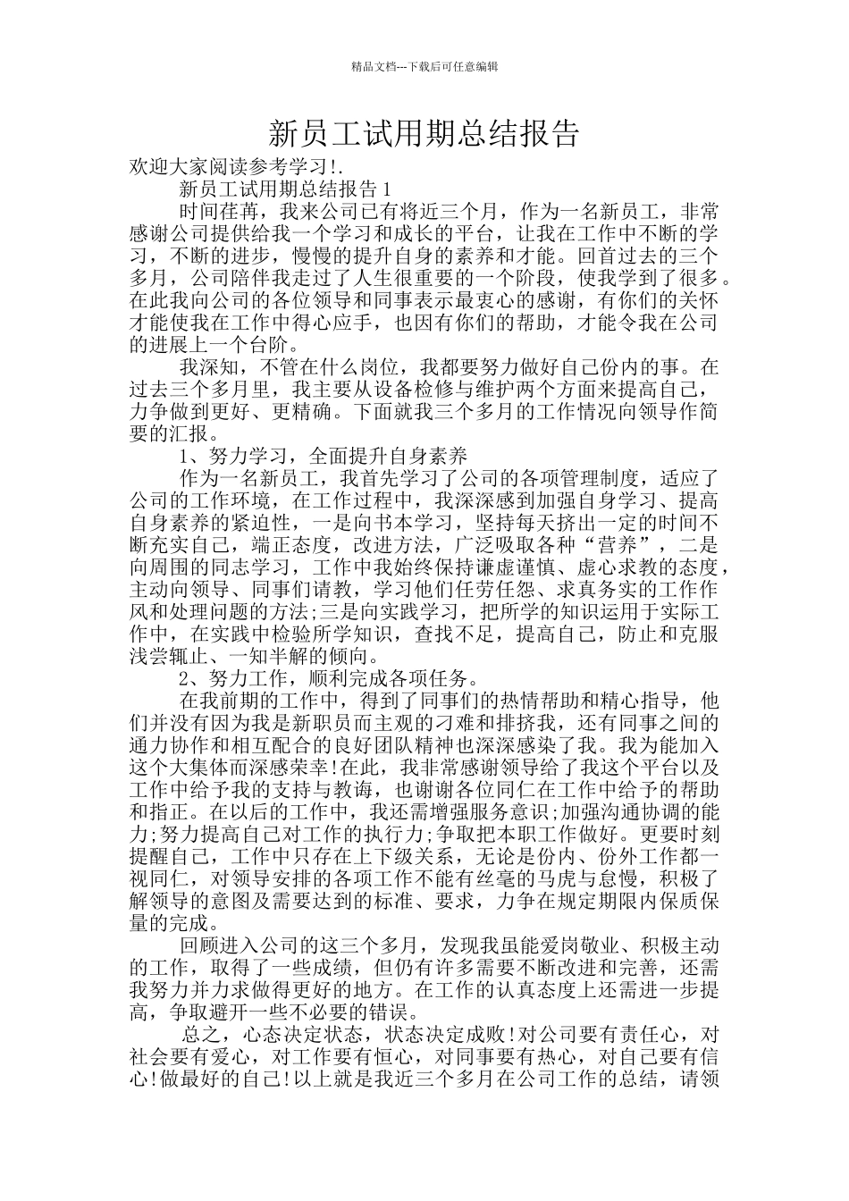 新员工试用期总结报告_第1页