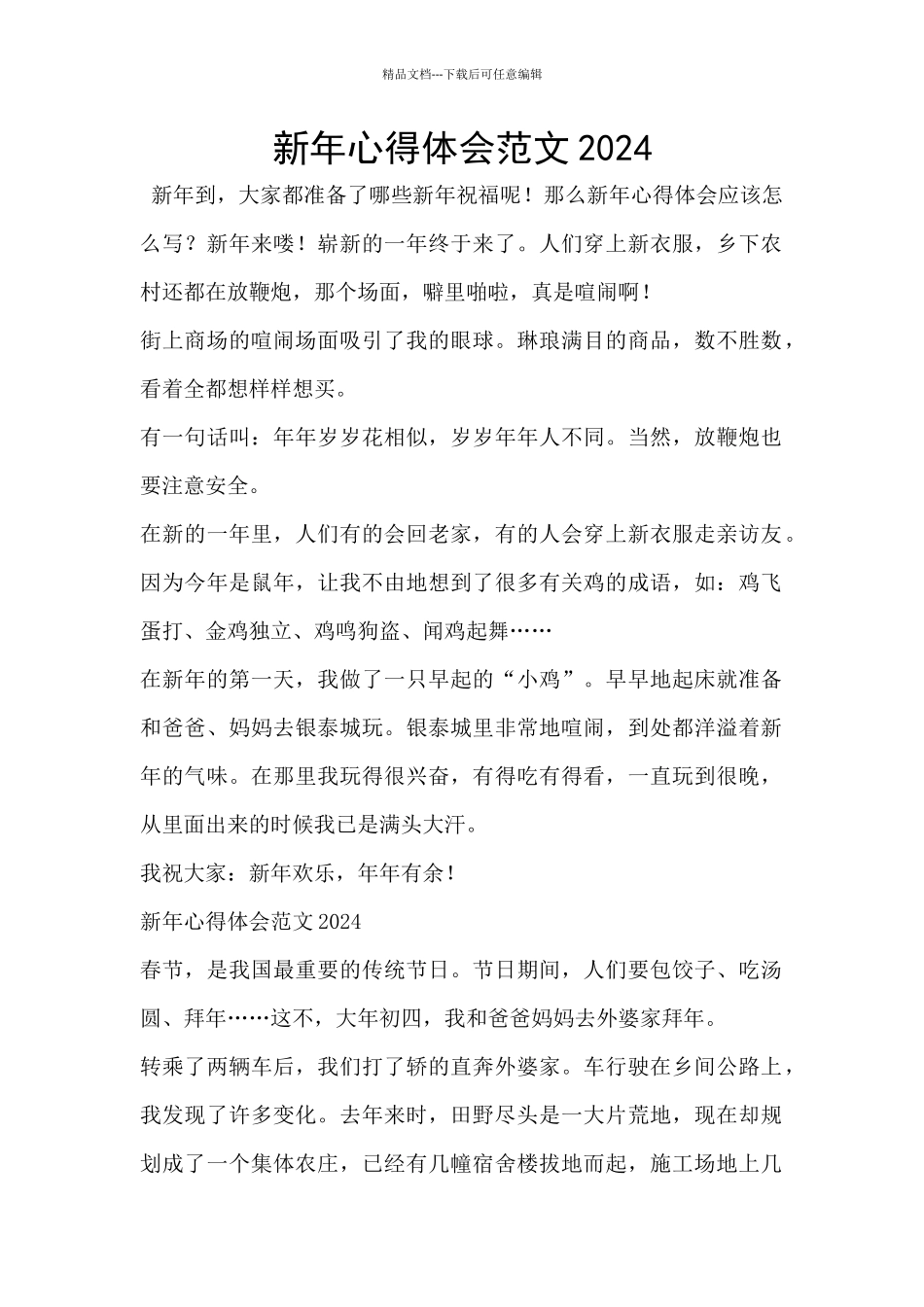 新年心得体会范文2024_第1页