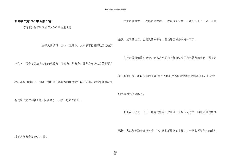 新年新气象500字合集5篇_第1页
