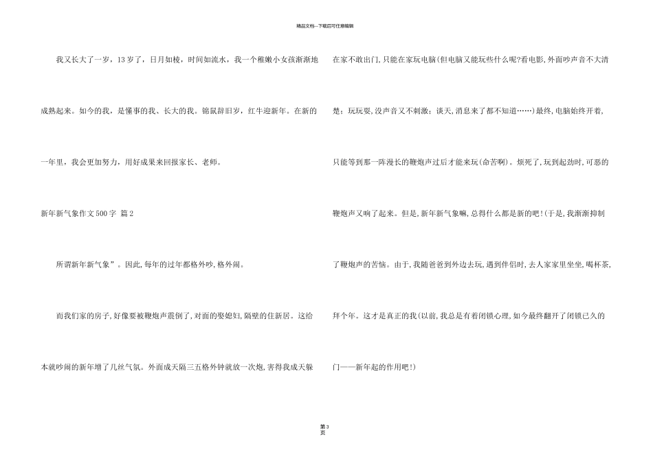 新年新气象500字合集5篇_第3页