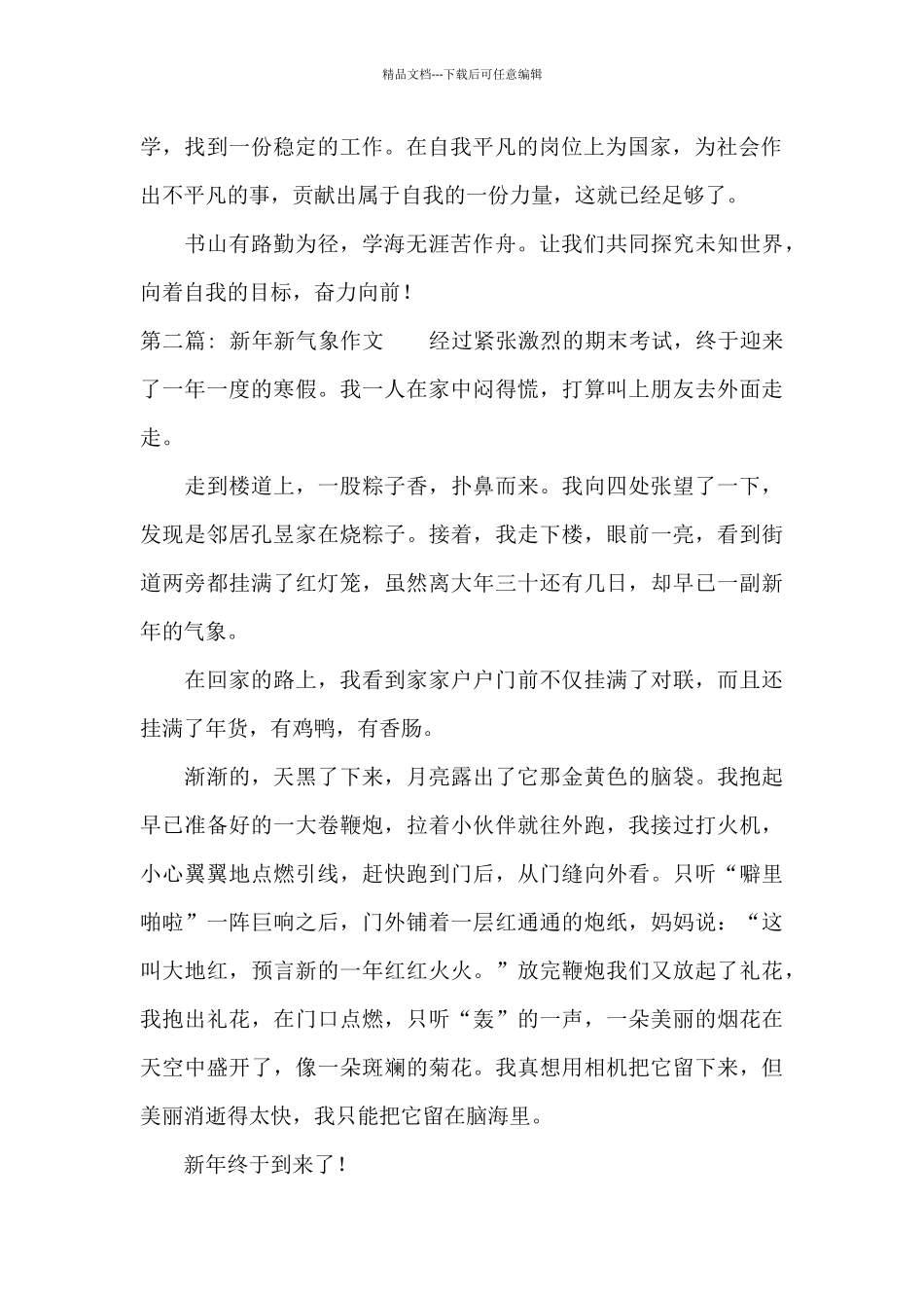 新年新气象作文_第2页