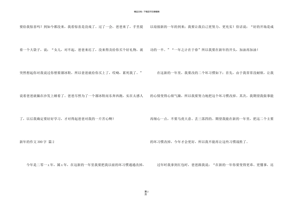 新年的300字集合8篇_第2页