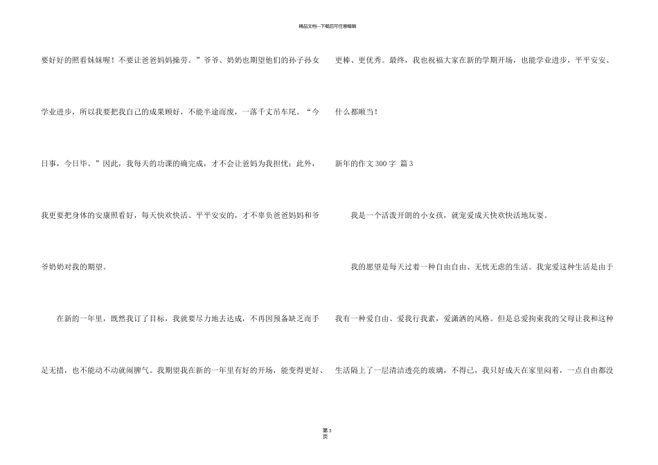 新年的300字集合8篇_第3页