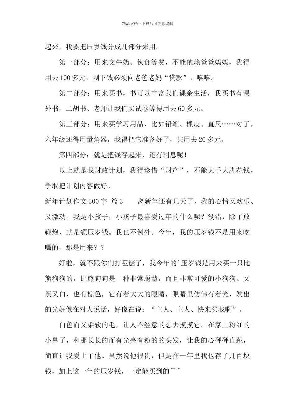 新年计划作文300字汇编三篇_第2页