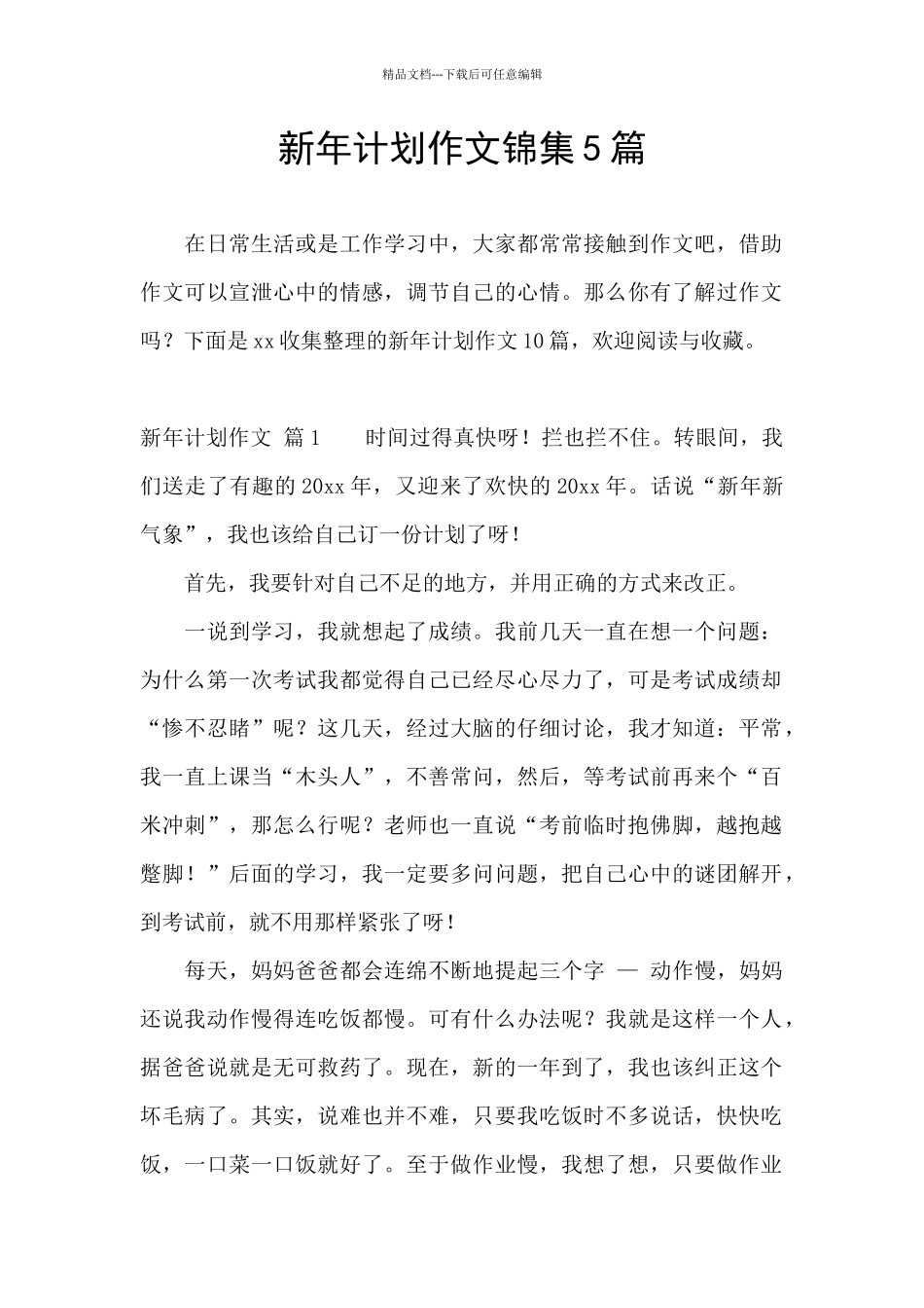 新年计划作文锦集5篇_第1页