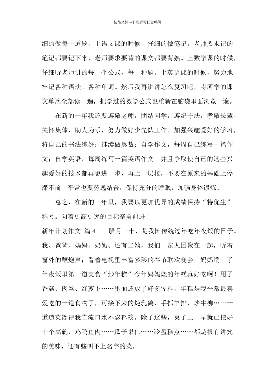 新年计划作文锦集5篇_第3页