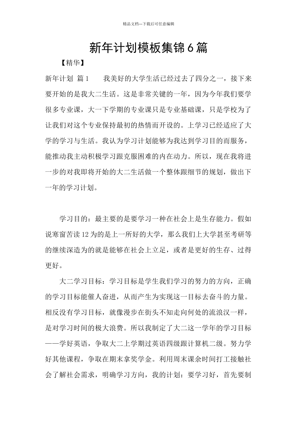 新年计划模板集锦6篇_第1页