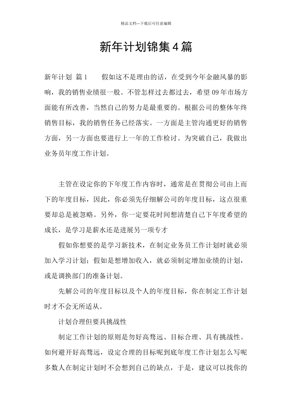 新年计划锦集4篇_第1页