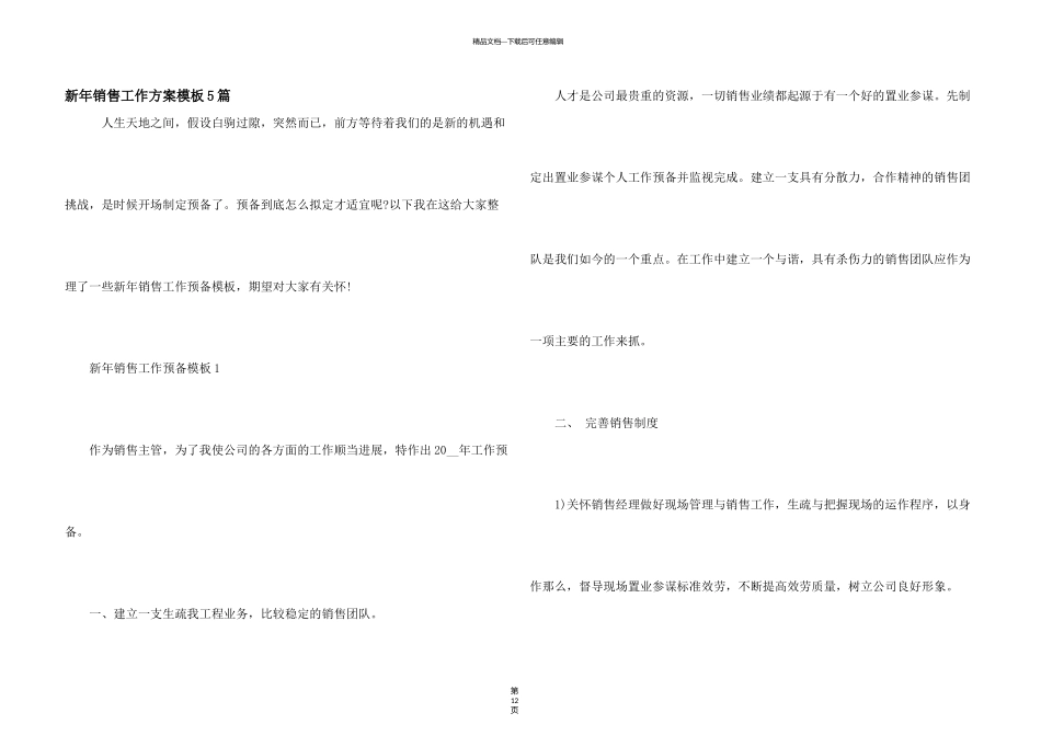 新年销售工作计划模板5篇_第1页