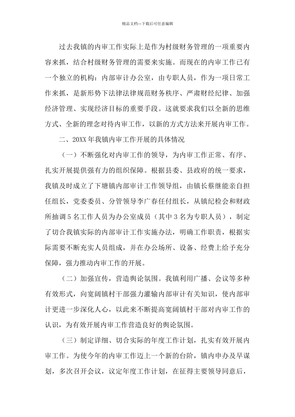 新成立公司内部审计工作总结_第3页