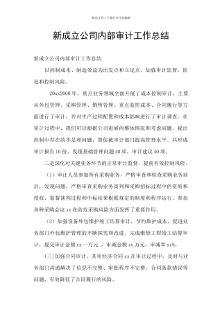 新成立公司内部审计工作总结
