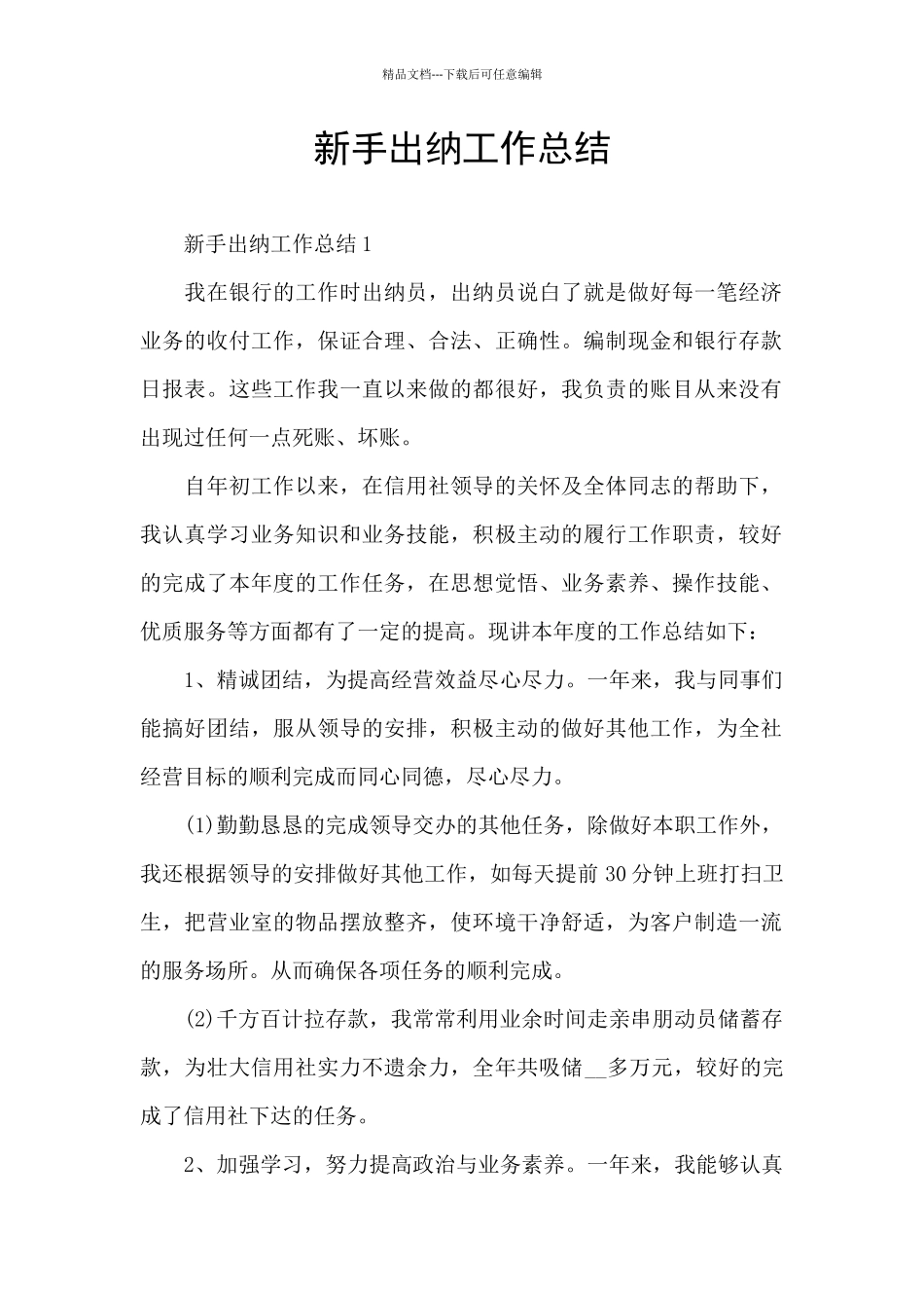 新手出纳工作总结_第1页