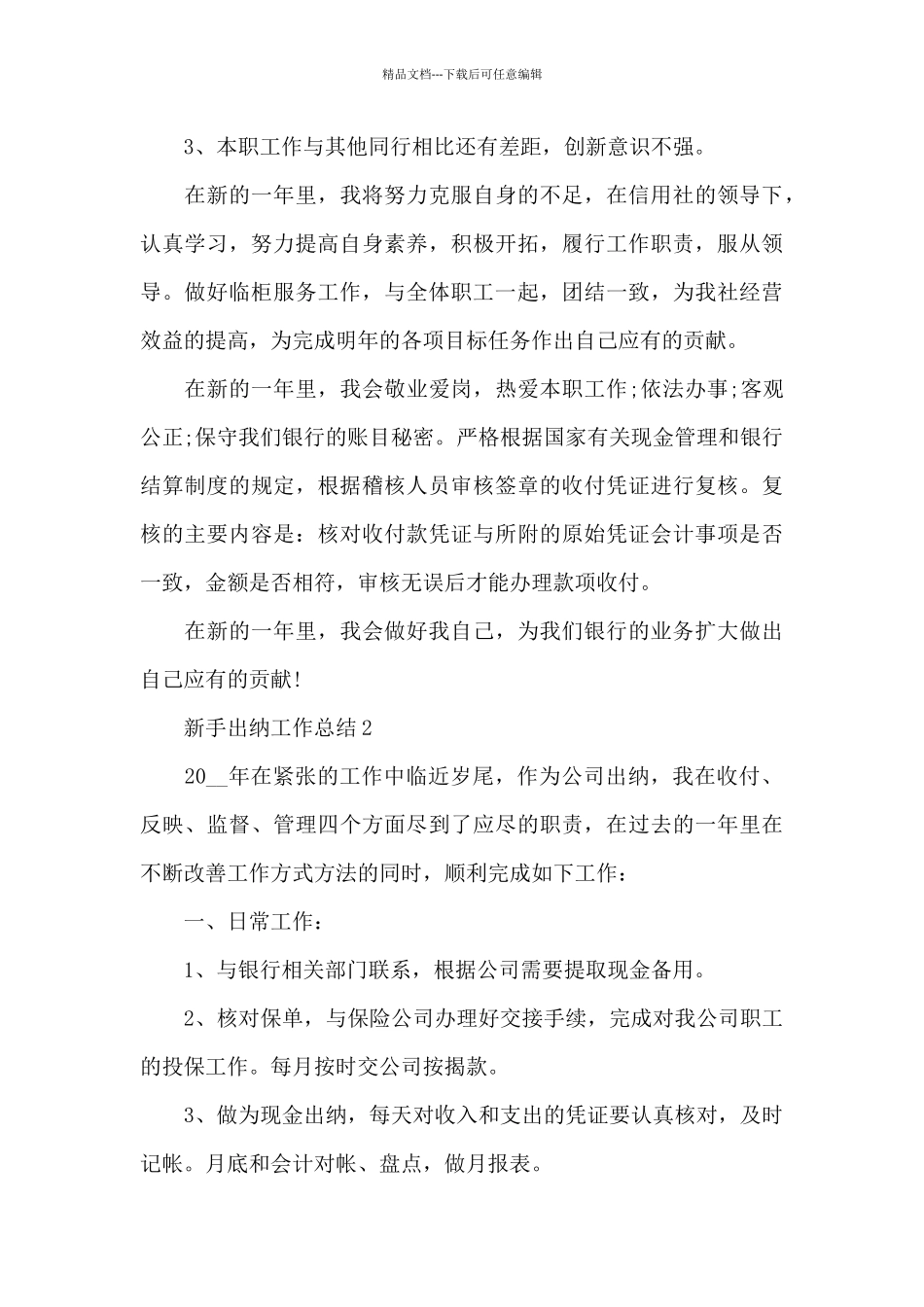 新手出纳工作总结_第3页