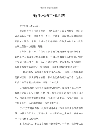 新手出纳工作总结