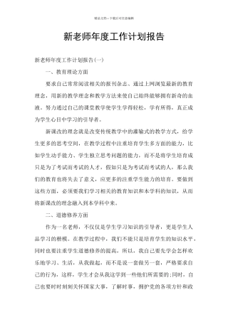 新教师年度工作计划报告