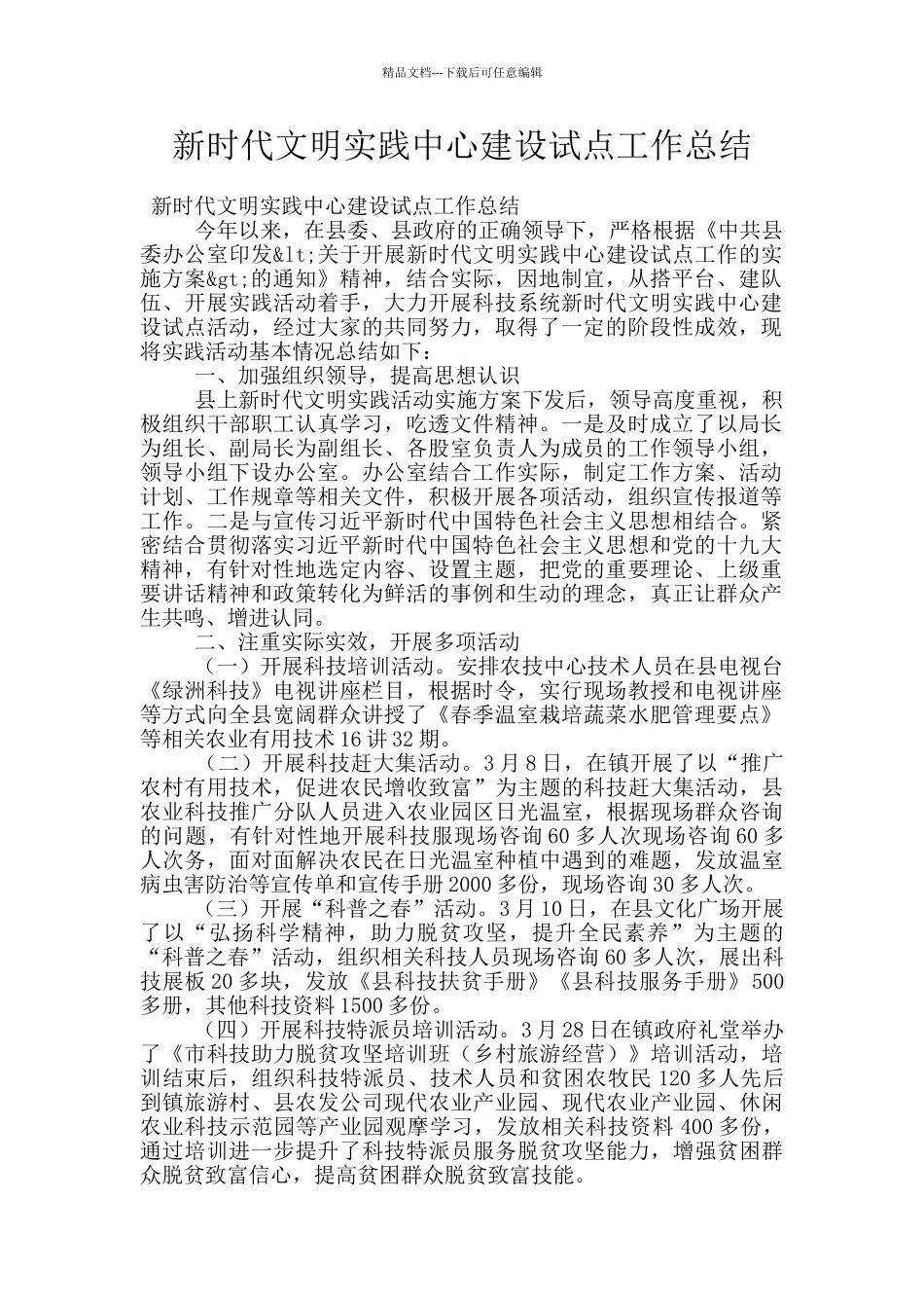 新时代文明实践中心建设试点工作总结_第1页