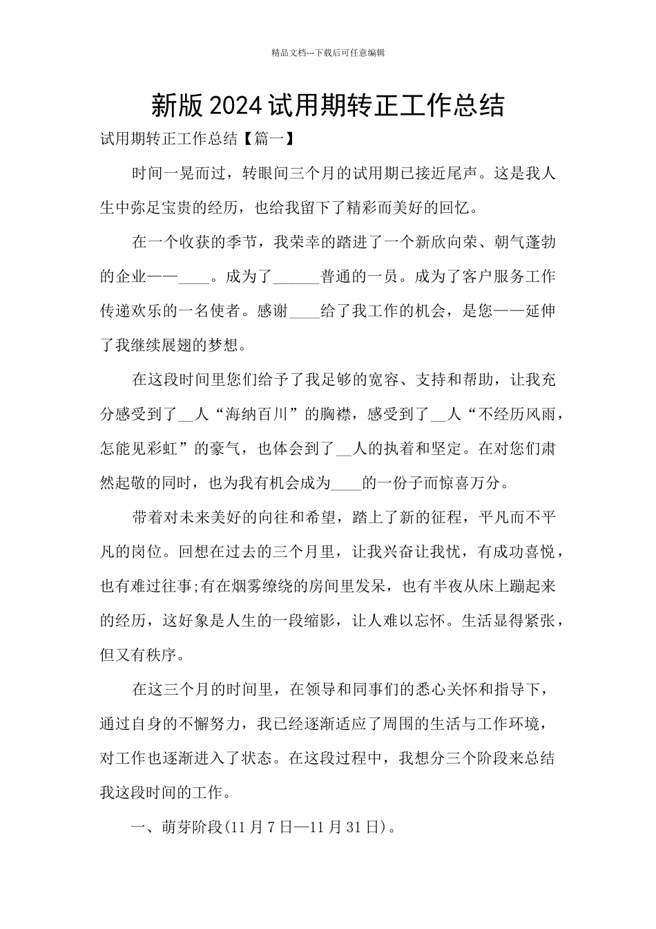 新版2024试用期转正工作总结_第1页