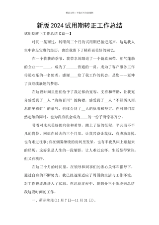 新版2024试用期转正工作总结