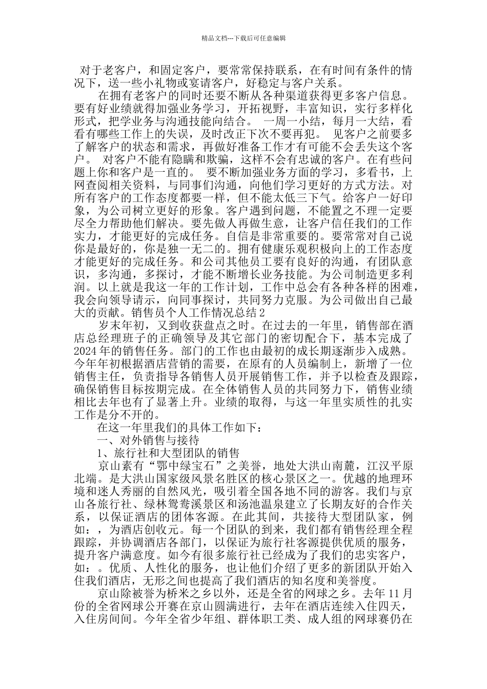 新版销售员个人工作情况总结_第2页