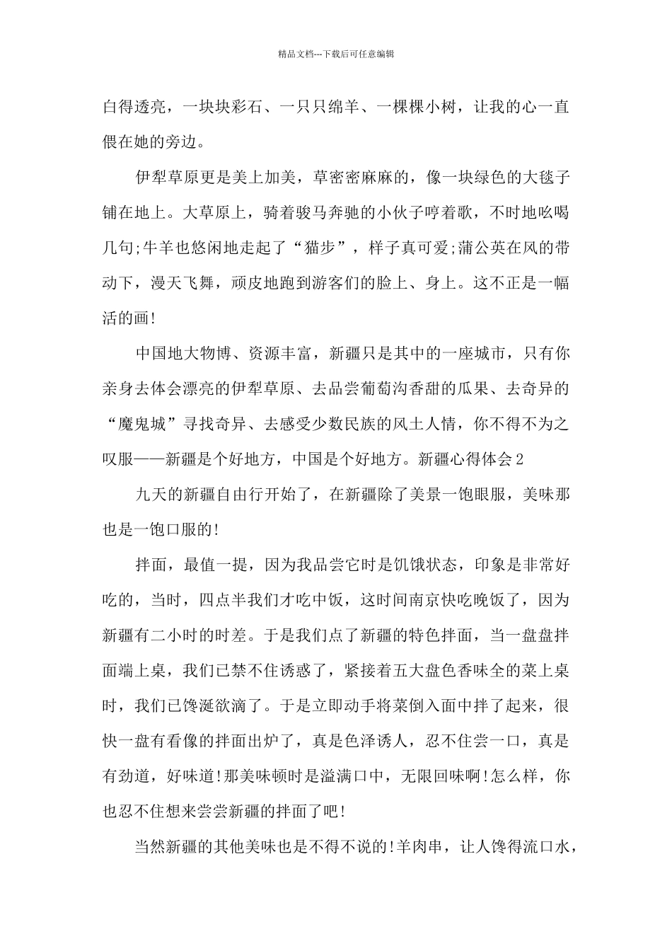 新疆游玩的心得体会_第2页