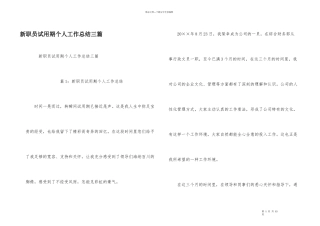 新职员试用期个人工作总结三篇