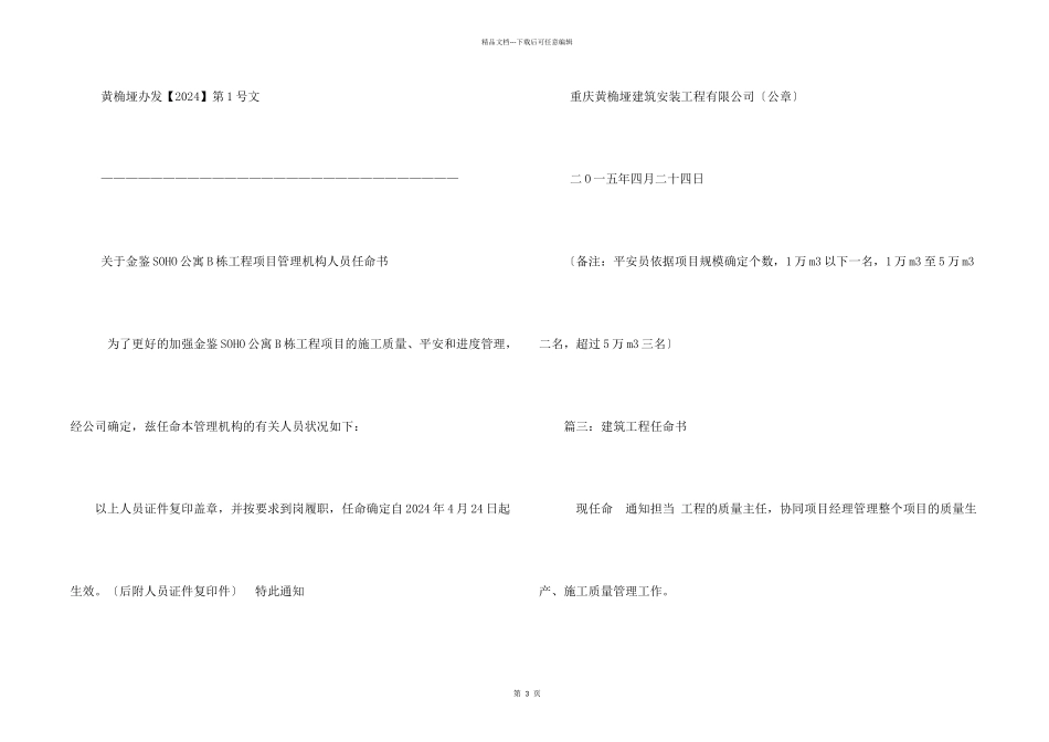 施工单位任命文件_第2页