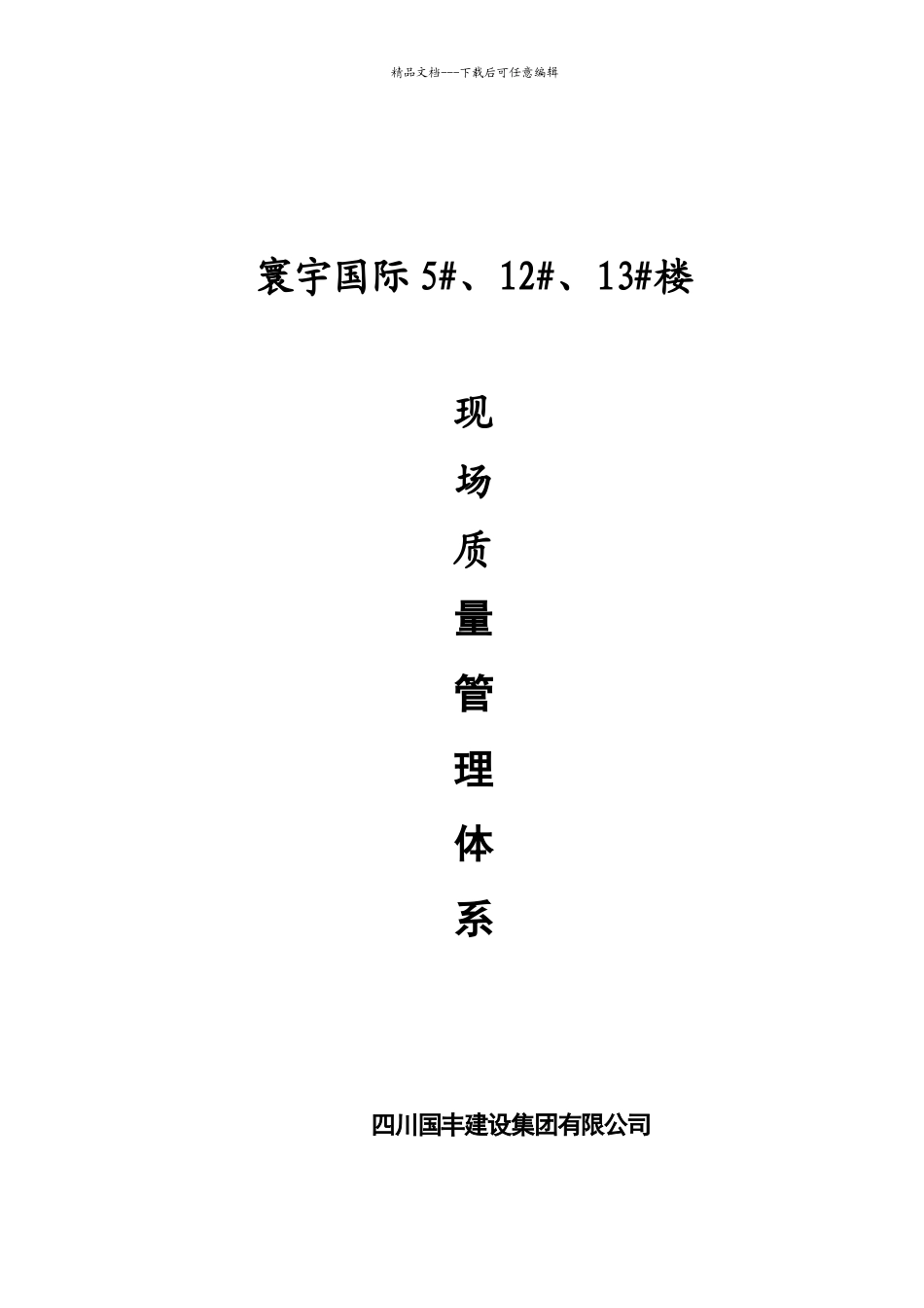 施工项目质量管理体系_第1页