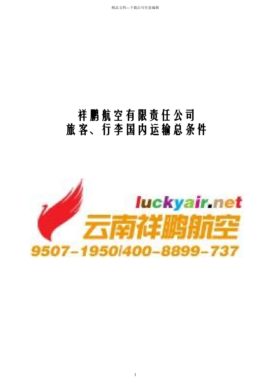 旅客、行李国内运输总条件_第1页