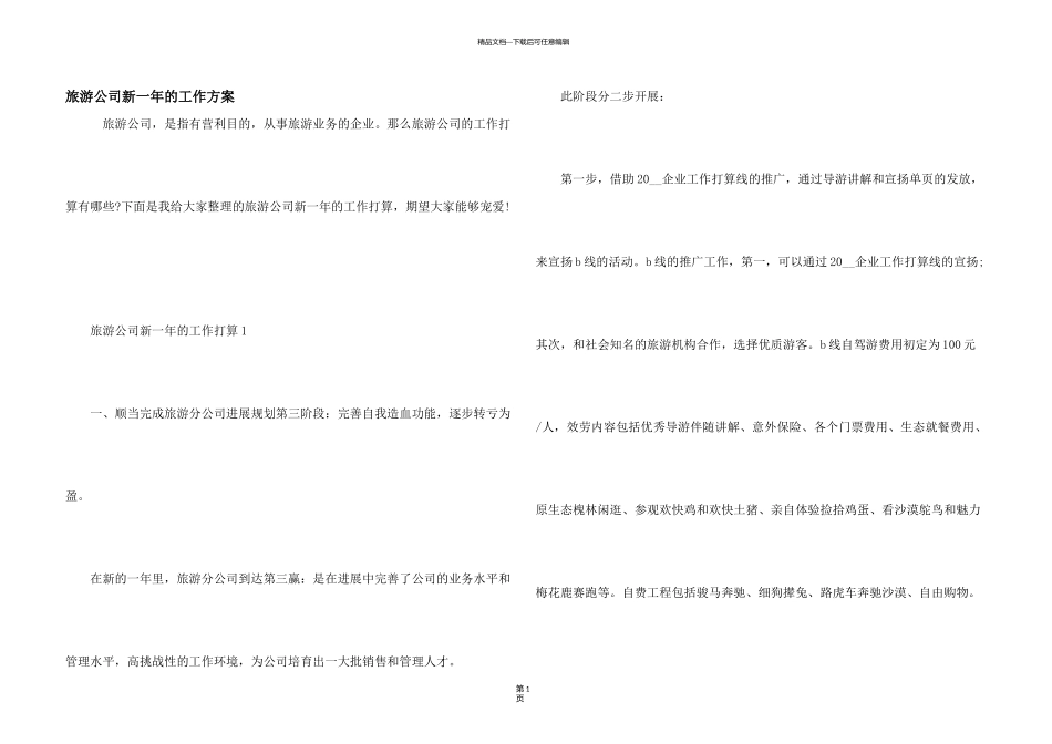 旅游公司新一年的工作计划_第1页
