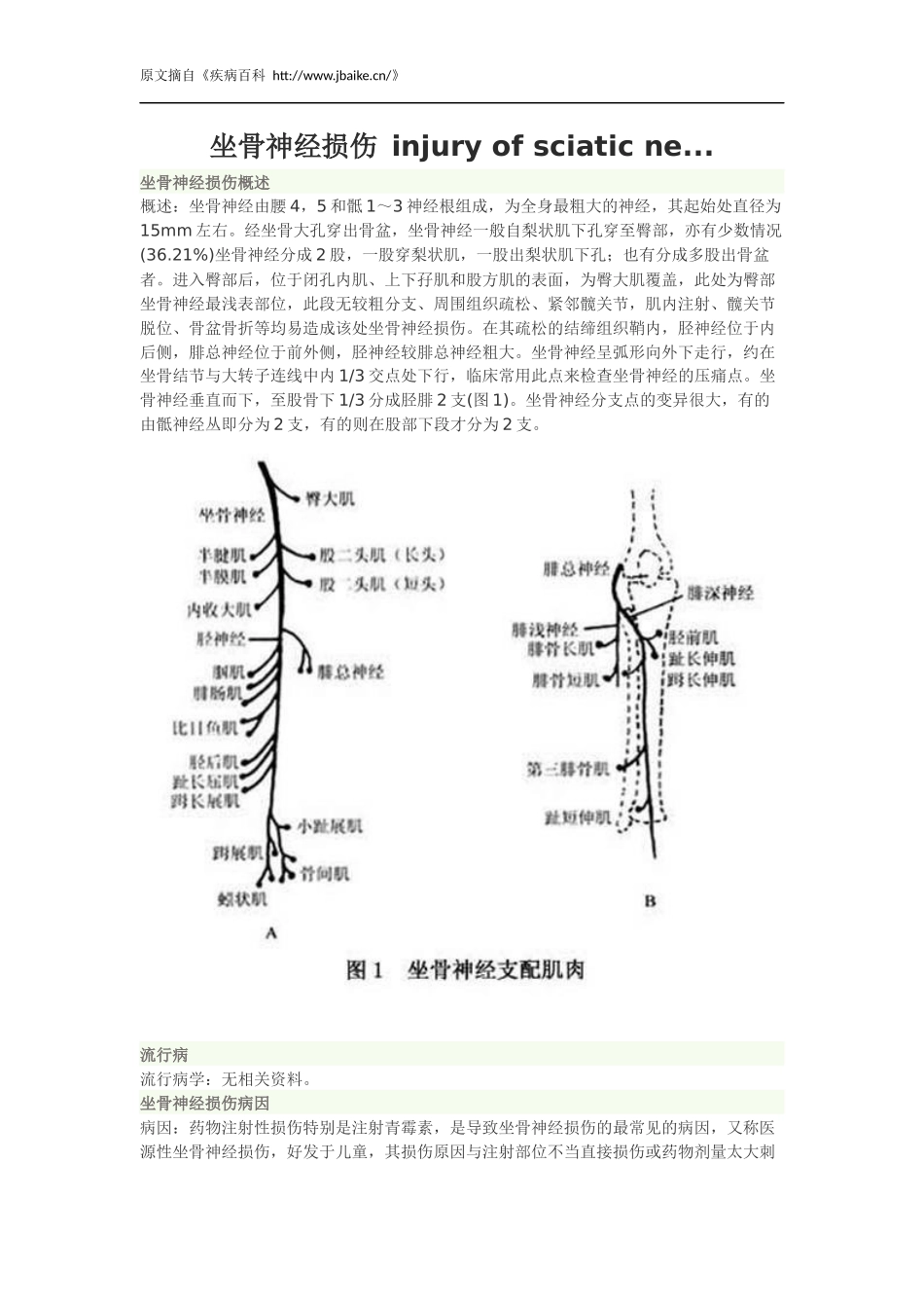 坐骨神经损伤病因、临床表现、检查与治疗_第1页