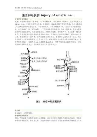 坐骨神经损伤病因、临床表现、检查与治疗