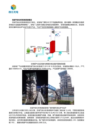 在线气体分析系统在发电厂生物质气化项目中的运用