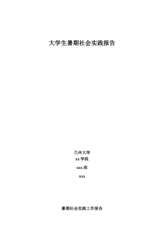 在政府的暑假社会实践报告