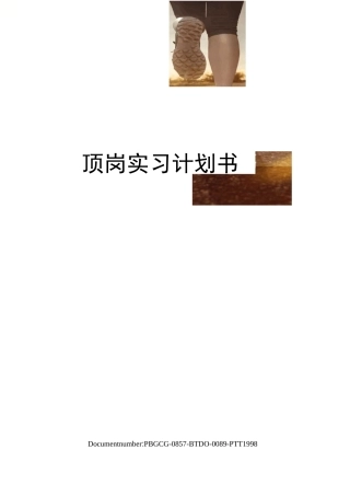 顶岗实习计划书