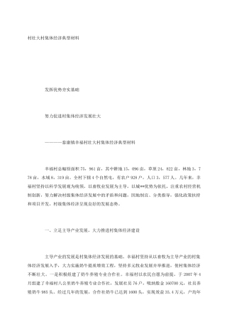村壮大村集体经济典型材料