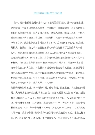 2022年乡村振兴工作汇报