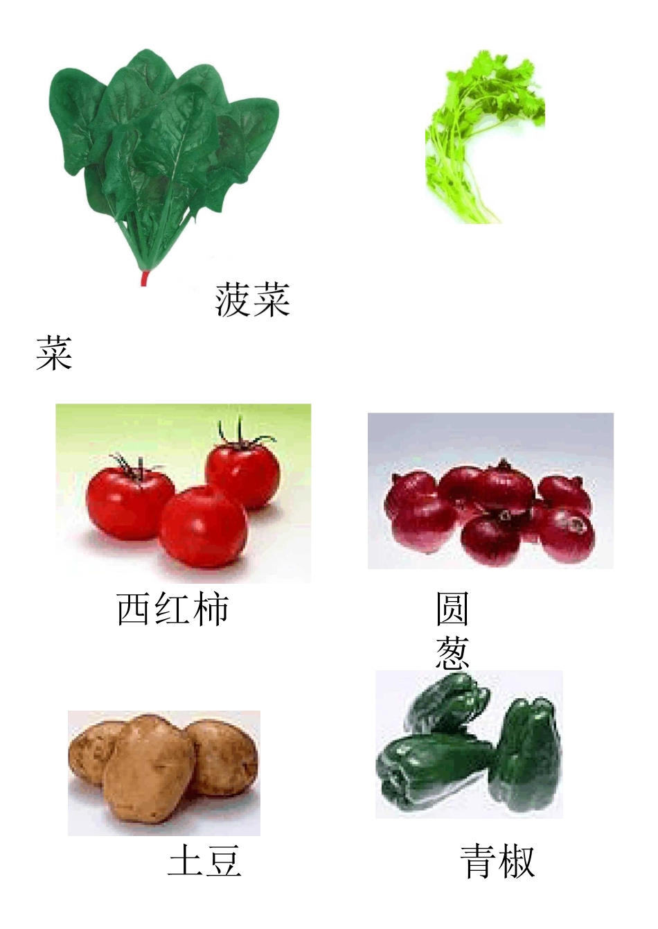 蔬菜图片大全_第2页