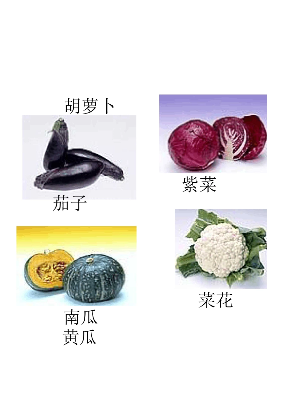 蔬菜图片大全_第3页