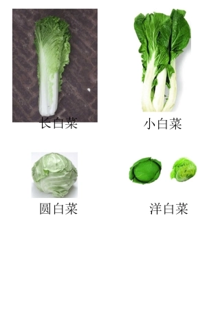 蔬菜图片大全