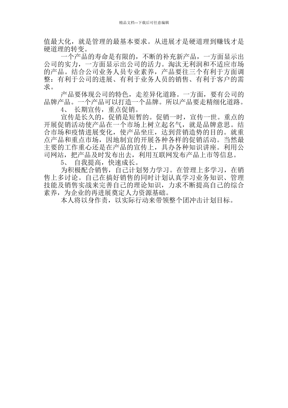 明年销售工作计划范文_第2页